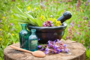 چطور در عرض چند روز گل محمدی را خشک کنیم